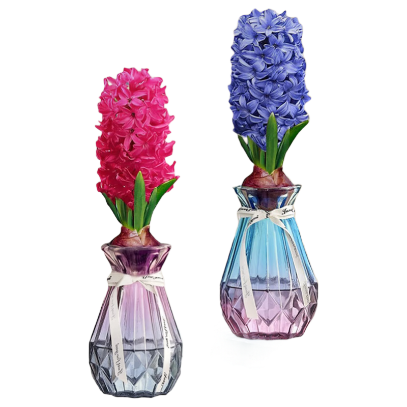 ���ڲ��������̷����������+��/��ʯƿ2�� ��ѿ��������ˮ����ֲ�ﻨ��Դͷֱ�� 22.9Ԫ