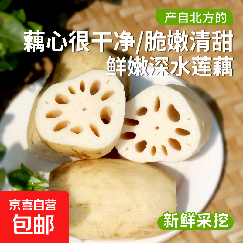 微山湖新鲜莲藕脆嫩多汁现发当季鲜藕下酒菜 清甜凉拌 精品莲藕-2斤