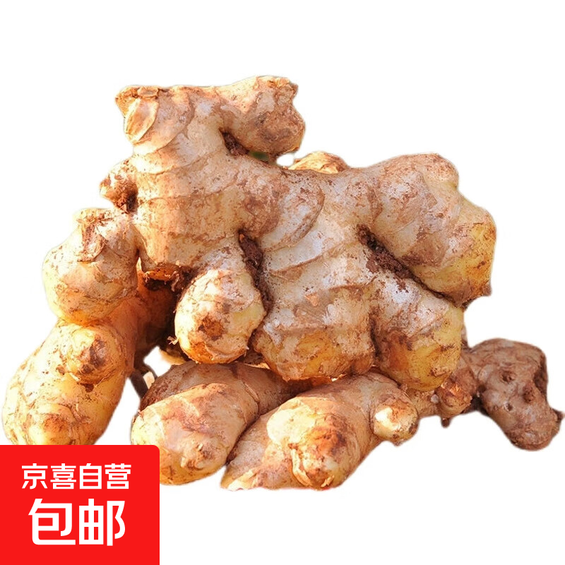 【精选2年老姜】正宗云南小黄姜高山沙姜老姜土姜蔬菜农家 1斤【精选两年老姜（更老更辣）】