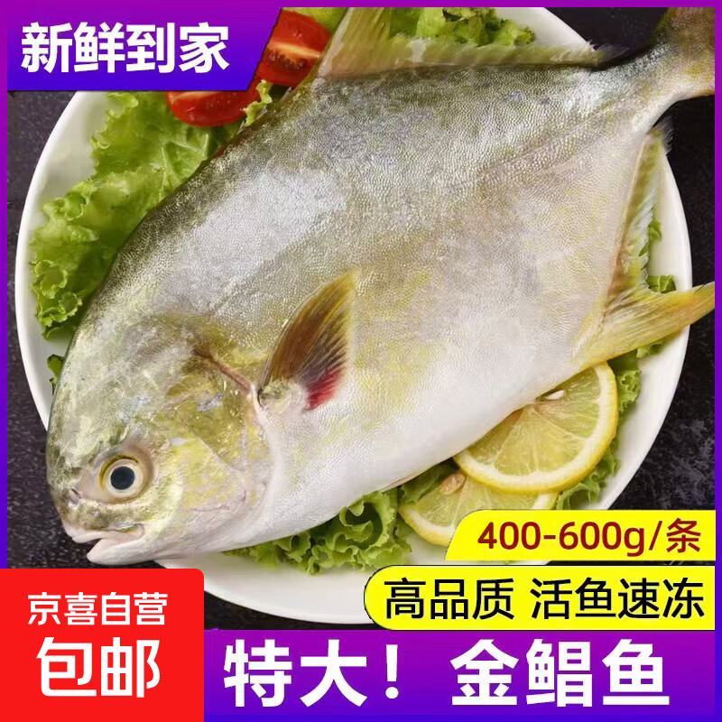 新货金鲳鱼新鲜镜鱼海鱼鲳鱼金昌鱼海鱼鲜活海鲜平鱼白鲳冰鲜冰衣 8-9两金鲳鱼（单条）冰衣