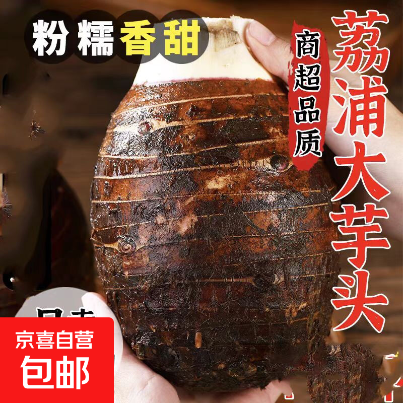 正宗广西桂林荔浦大芋头当季蔬菜新鲜香芋槟榔芋香糯特产 实惠中果1斤装 1-2颗（单果0.5-1斤）