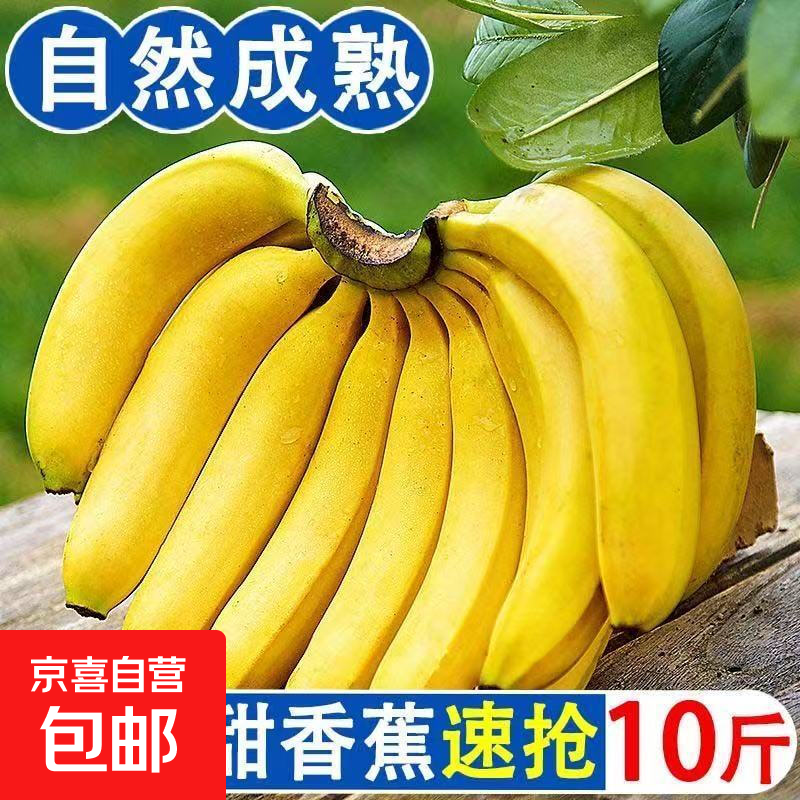 正宗自然广西高山香蕉当季新鲜水果现摘青皮薄皮香甜整箱佰果 香蕉青蕉发货 带箱 8斤