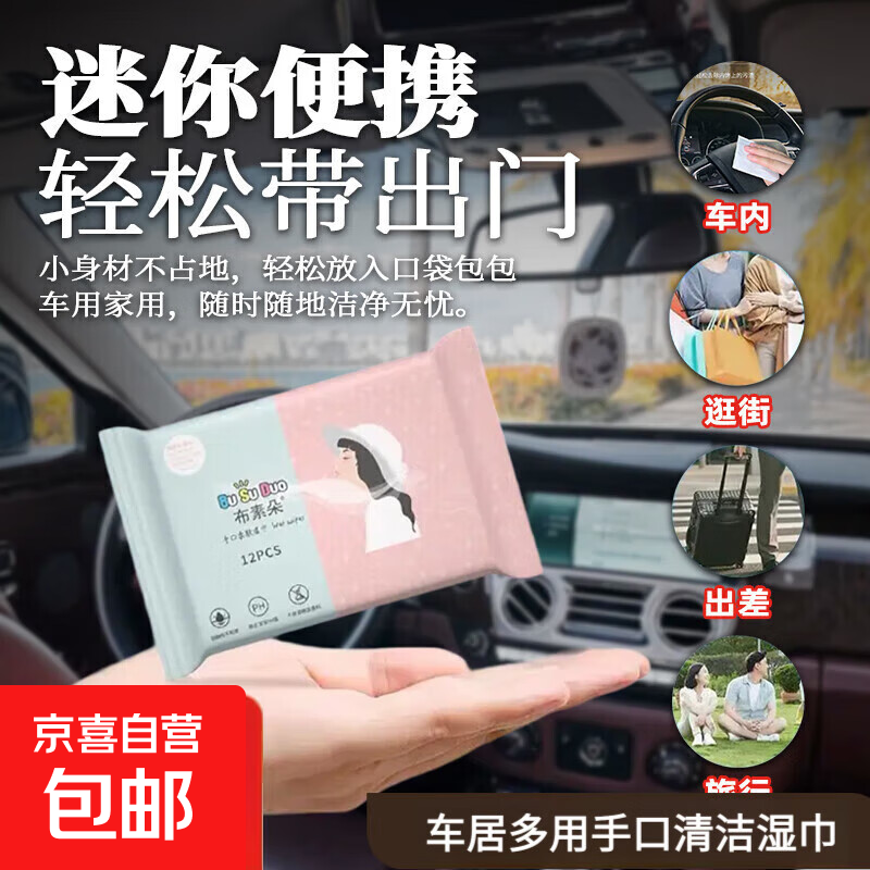 内饰清洁迷你小包便携手口清洁湿巾随身装 便携小包湿巾 （新老包装随机发货） 1包装冲量款