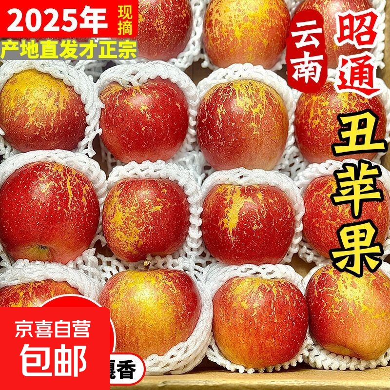 云南昭通高原红富士丑苹果脆甜当季生鲜新鲜水果产地直发整箱包邮 红富士脆甜丑苹果（小果100g以下） 含箱5斤【多日鲜享】