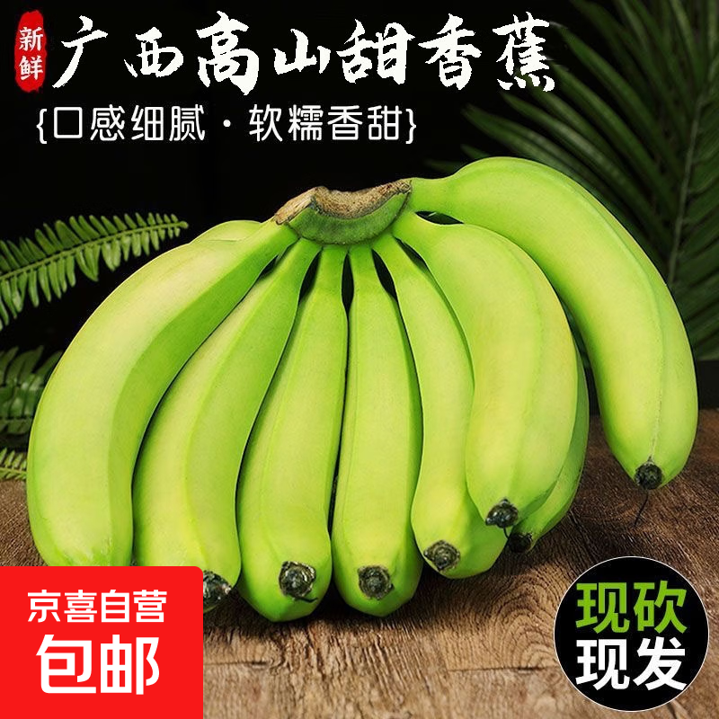 广东新鲜高山香蕉当季生鲜水果软糯香蕉薄皮青蕉现摘现发产地直发 【净重5斤】广西高山香蕉