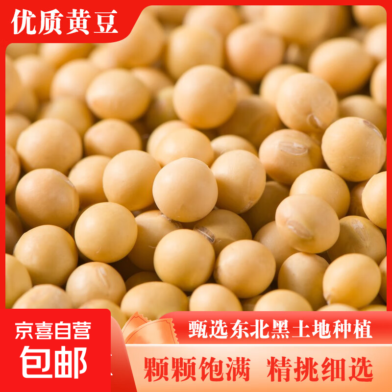 黄芯黑豆 黄心乌豆五谷杂粮打豆浆非转基因农家发豆芽 黄豆1斤