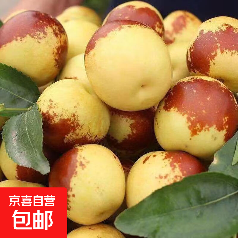 մˮ䷢СǶĳƤժ 8g+5 17.99Ԫ