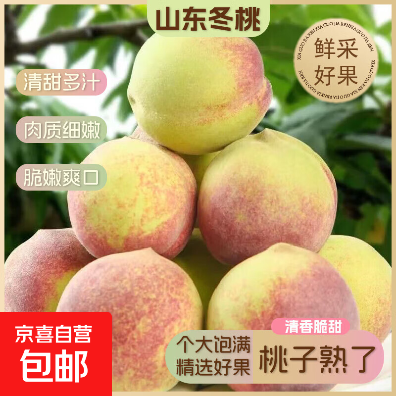 ����ɽ�����ʶ��Ҵ���������ժë�Ҵ��Ҵ����֭�и�ˮ��-����԰ ���� ����2�� 8.1Ԫ