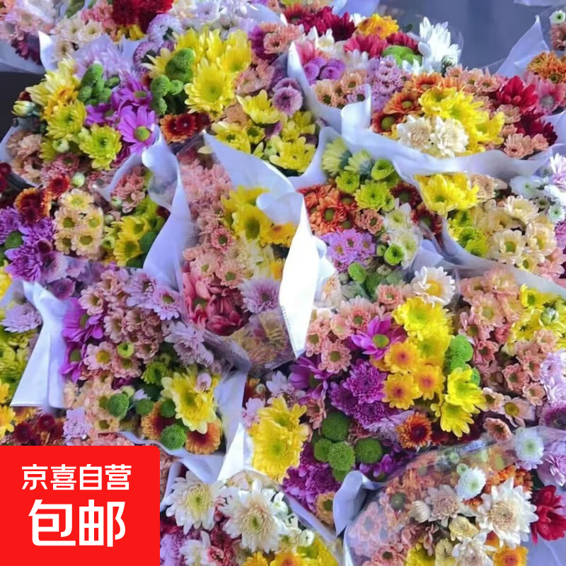 小雏菊多头鲜花云南鲜花基地直发鲜切花材家庭水养花束花束搭配 随机小菊10支（2色起）