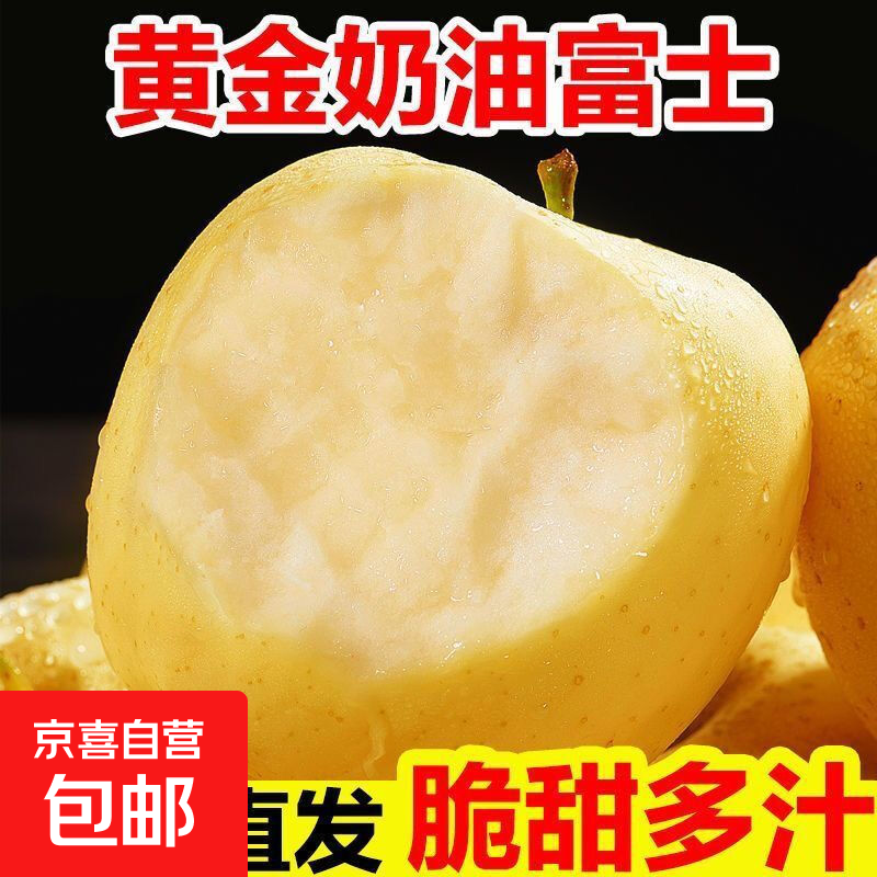 脆甜多汁黄金奶油富士苹果正宗山东烟台栖霞苹果整箱批发新鲜水果 奶油富士/中果70-75mm1粒装