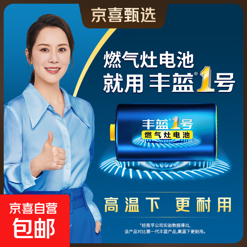 【京东物流】丰蓝1号燃气灶电池大号电池适用于热水器/手电筒/燃气灶/收音机等 R20P 1粒