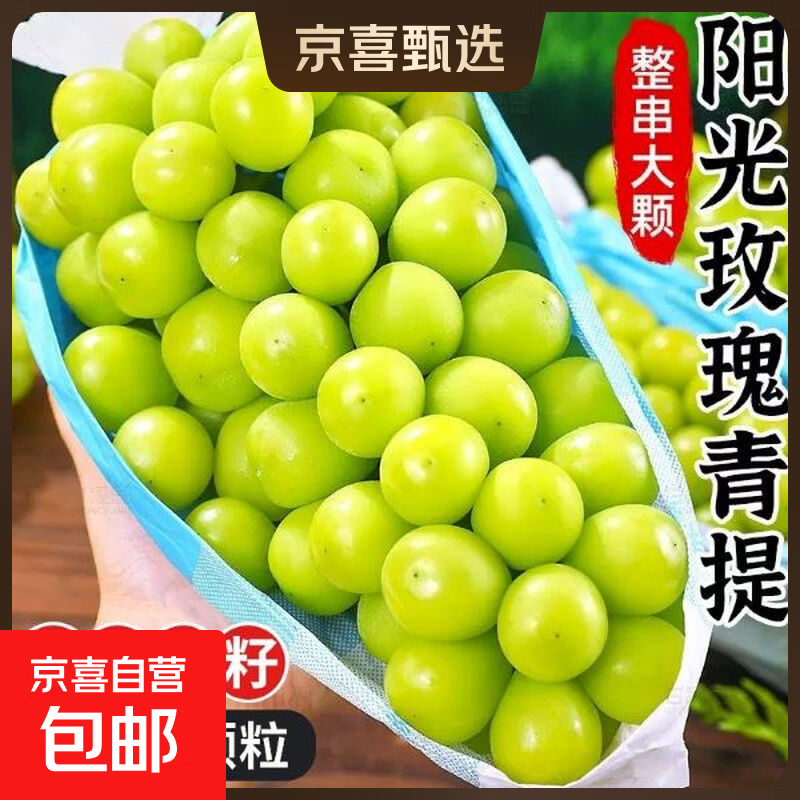 阳光玫瑰葡萄晴王青提香水提子新鲜应季水果一斤也是批发价 带箱2斤大果【单果克重10g-20g】（净重约1.5斤）