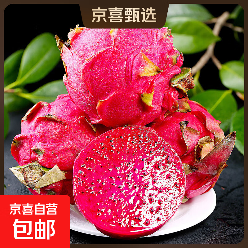 【严选一级果】正宗金都一号树上自然现摘新鲜红心火龙果 单果500g+带箱5斤（主推）