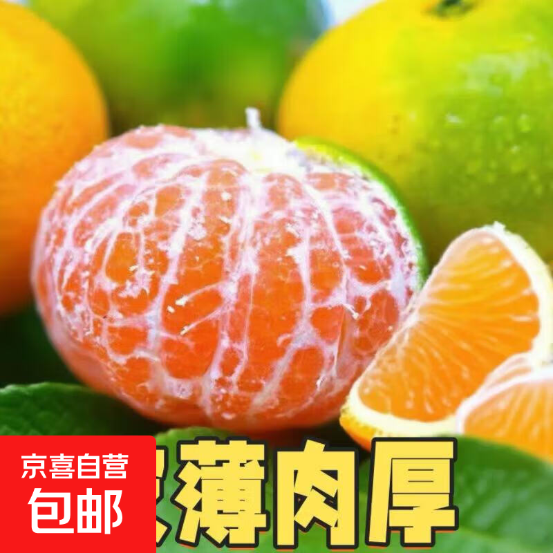 正宗湖南石门蜜桔酸甜现摘现发青皮蜜橘应季新鲜水果 带箱2斤装