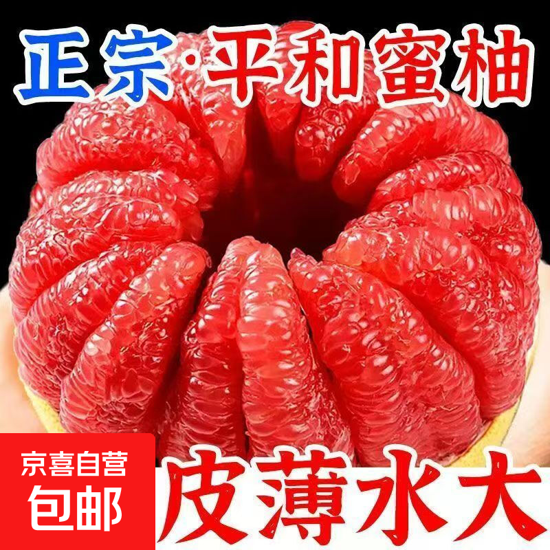 福建平和老树红柚 新鲜现摘 皮薄肉厚多汁 蜜柚柚子 带箱5-6斤（2粒）