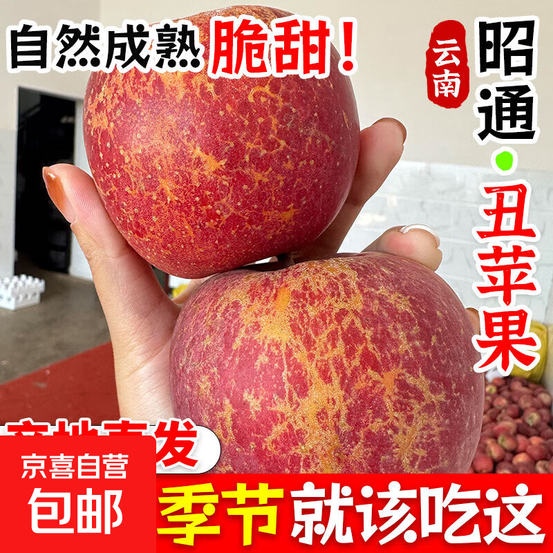 云南昭通正宗冰糖心丑苹果2025当季现摘整箱新鲜水果邵通基地直销 1斤装小果【60-70mm】