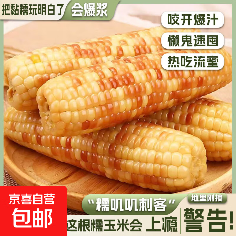 西双版纳花糯小玉米新鲜低脂粗粮真空包装即食早餐零食 花糯玉米 1斤净重(2-3根）