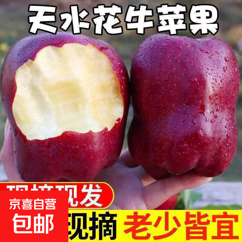 正宗甘肃天水花牛苹果新鲜生鲜整箱当季红蛇粉面孕妇刮泥果W1 带箱1斤  果径65-70mm