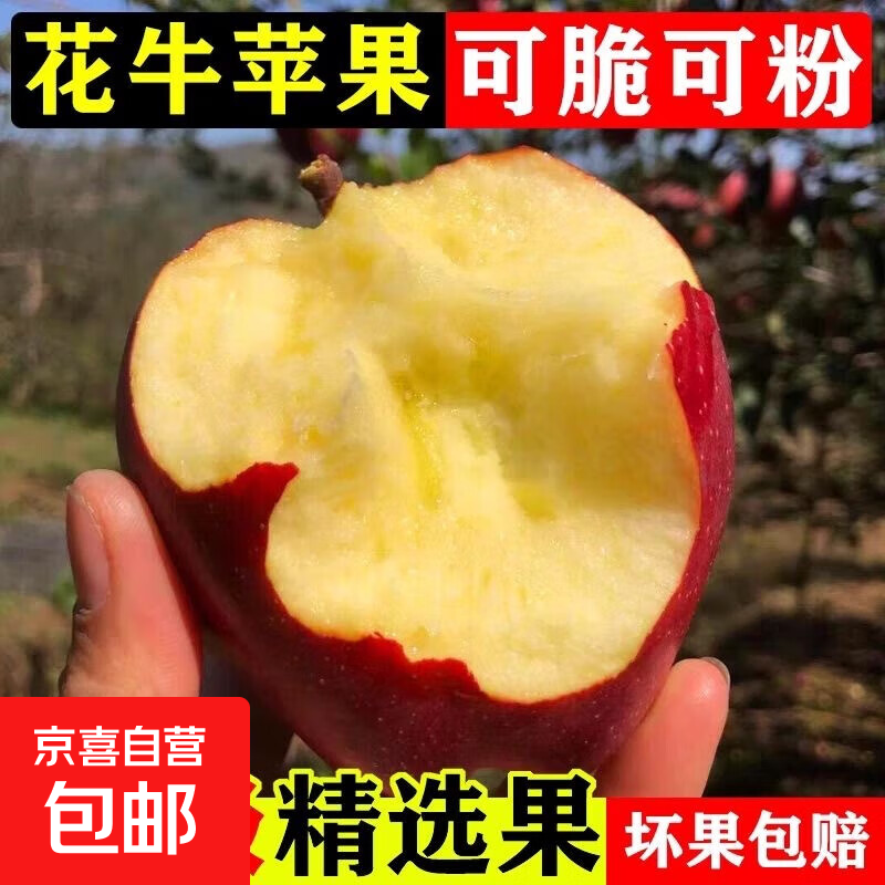 25年正宗甘肃天水花牛苹果蛇果红果粉面脆甜老人孕妇宝宝辅食 普箱天水花牛苹果带箱2斤65mm-70mm