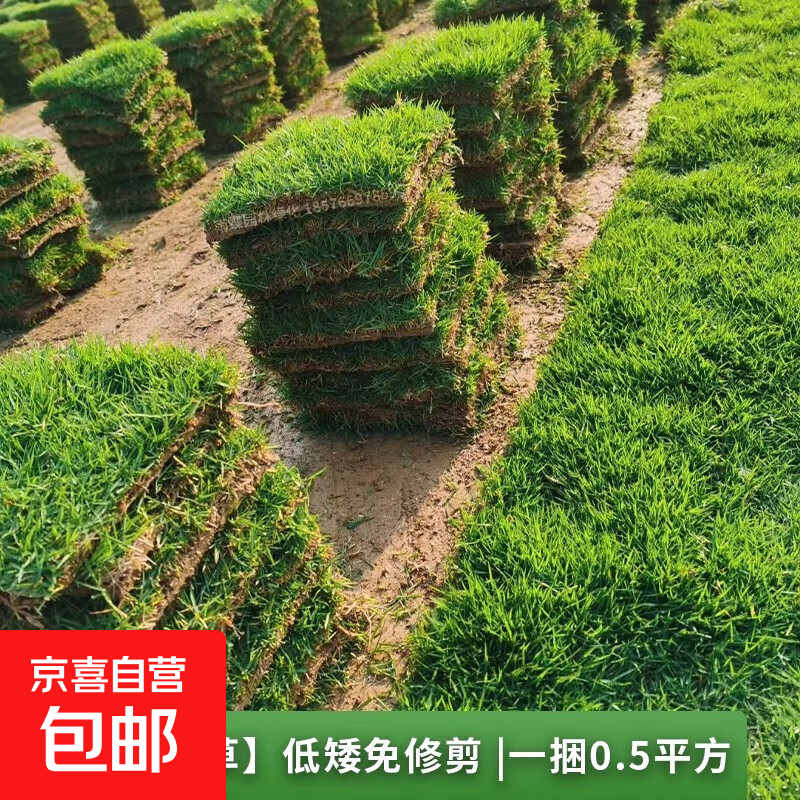 ƤݱͥԺ̻ǫ̀ļ׻Ͳ̤ Ͳ̤Ƥһ1ƽ