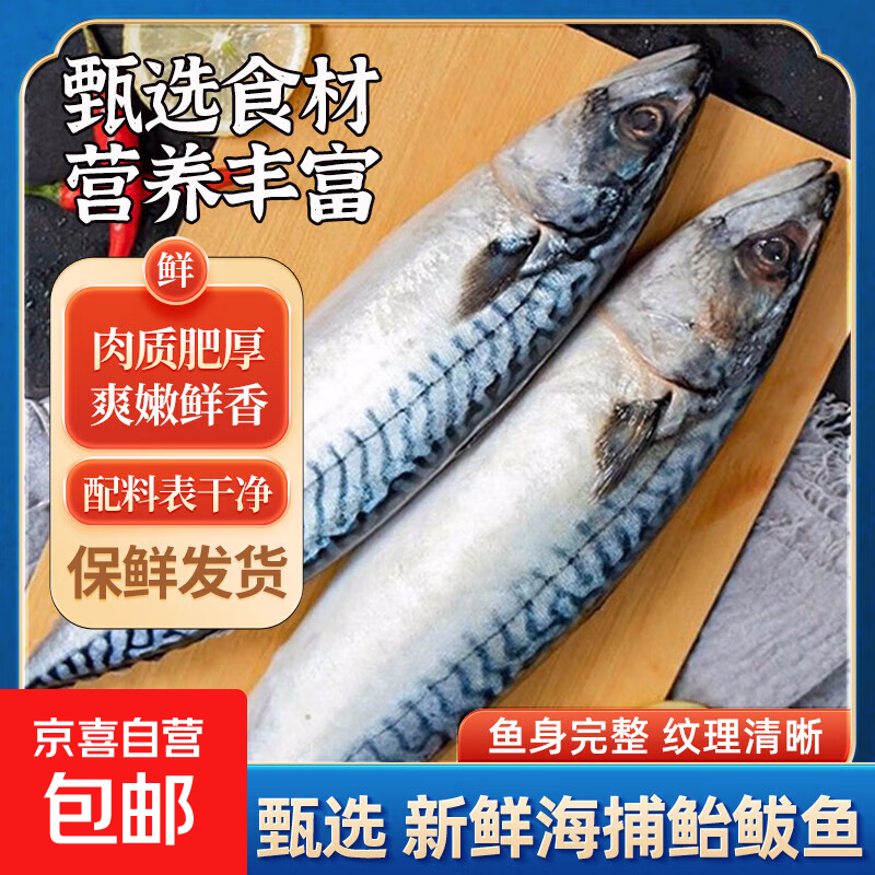 京喜加新鲜冷冻鲐鲅鱼青岛海捕青占鱼整条青花鱼海鲜 2斤鲐鲅鱼3/4两一条【约5~7条】