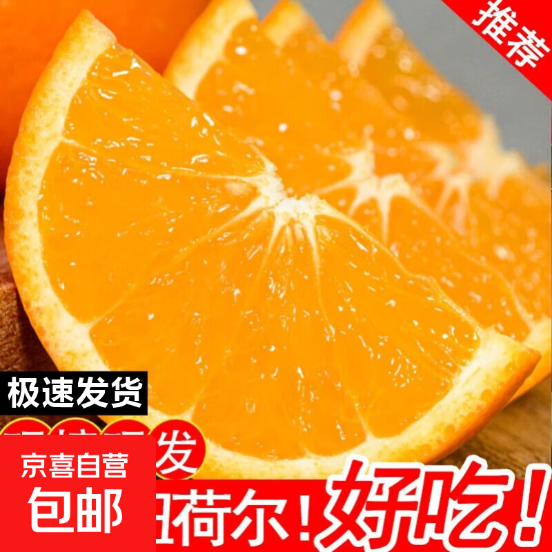 高山纽荷尔脐橙新鲜橙子应季自种农家新鲜采摘60-65mmjy 纽荷尔橙子-尝鲜装（2粒）60-65mm