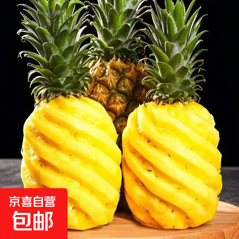 广东徐闻香水菠萝果园现摘现发产地直发｜京东快递 更快更好 2粒装爆火净重2.6+