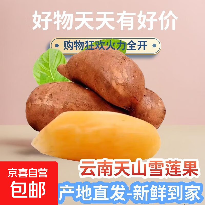 【新鲜现挖现发】云南天山雪莲果2025新鲜当季黄心孕妇水果YLZ 【优选气柱装】大果带箱10斤装