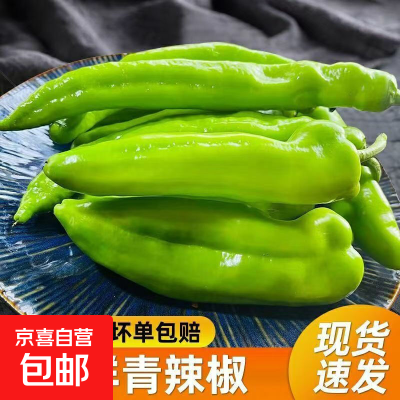 农家自种青尖椒虎皮尖椒新鲜蔬菜超市品质产地直发 山东绿尖椒2斤带箱净重1.8斤