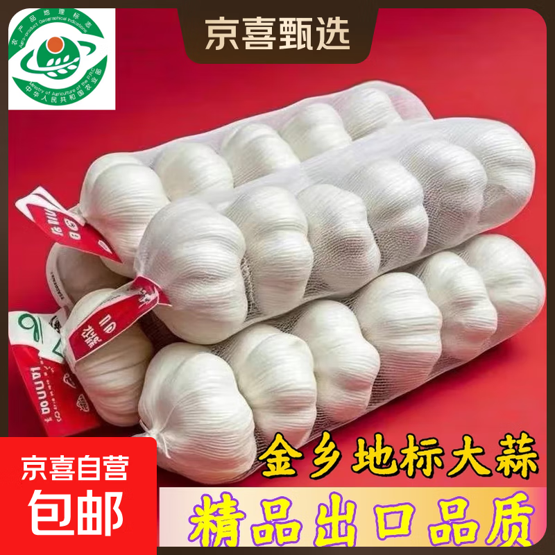 山东金乡蒜大蒜出口标准精选大蒜头蔬菜调料单果5cm 出口标准网兜装箱 460g 仅售7.01元