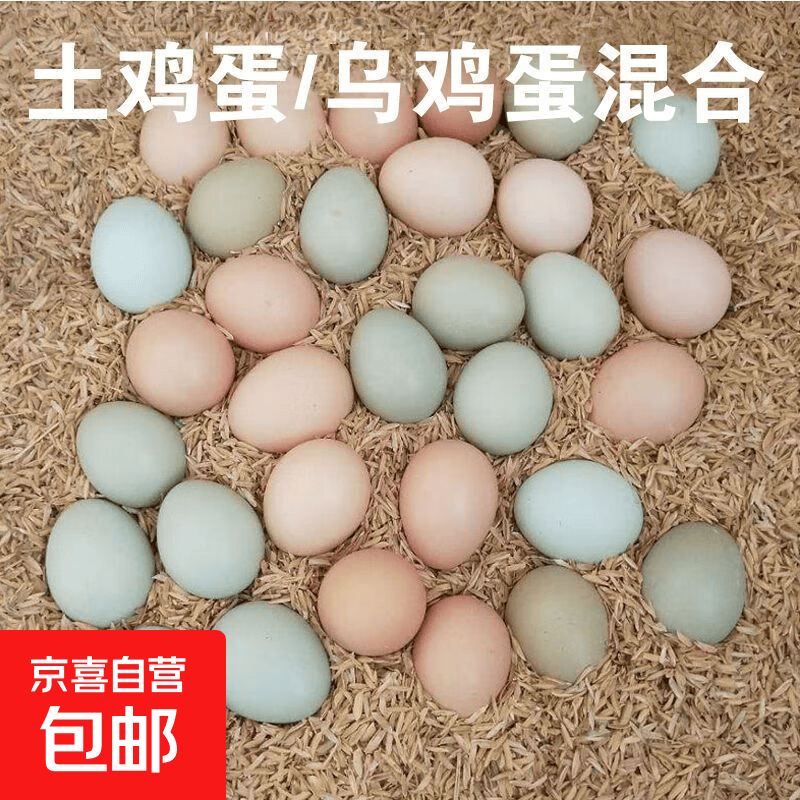农家鲜鸡蛋虫草蛋新鲜绿壳乌鸡蛋混合装儿童孕妇批发整箱 10枚【8枚虫草蛋+2枚乌鸡蛋】