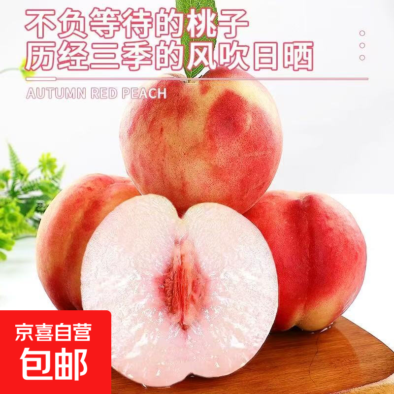 ���ڽ�����������ʴ���-��� ���ش����������9��