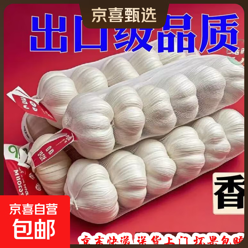 大蒜头出口品质网兜紫蒜蔬菜调料新鲜大果烧烤火锅食材 【精品网兜装】5头装 150g