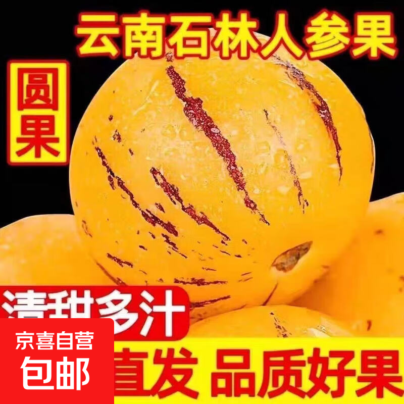 云南高原人参果新鲜整箱当季黄心人参果现摘现发水果清甜-齐乐缘 高原人参果特大果100-130克 高原人参果5斤热卖装