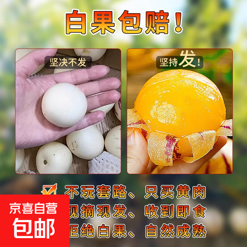 正宗云南人参果圆果树上熟水果当季孕妇新鲜大果清甜整箱-旅发 带箱3斤 大果 80-110g