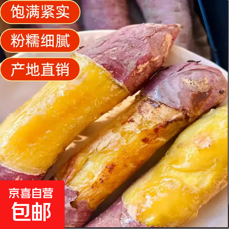 正宗济薯26号板栗薯黄心红薯微甜济薯香甜丨京东快递 更快更好 山东中大果（单果3两-8两）净重1斤