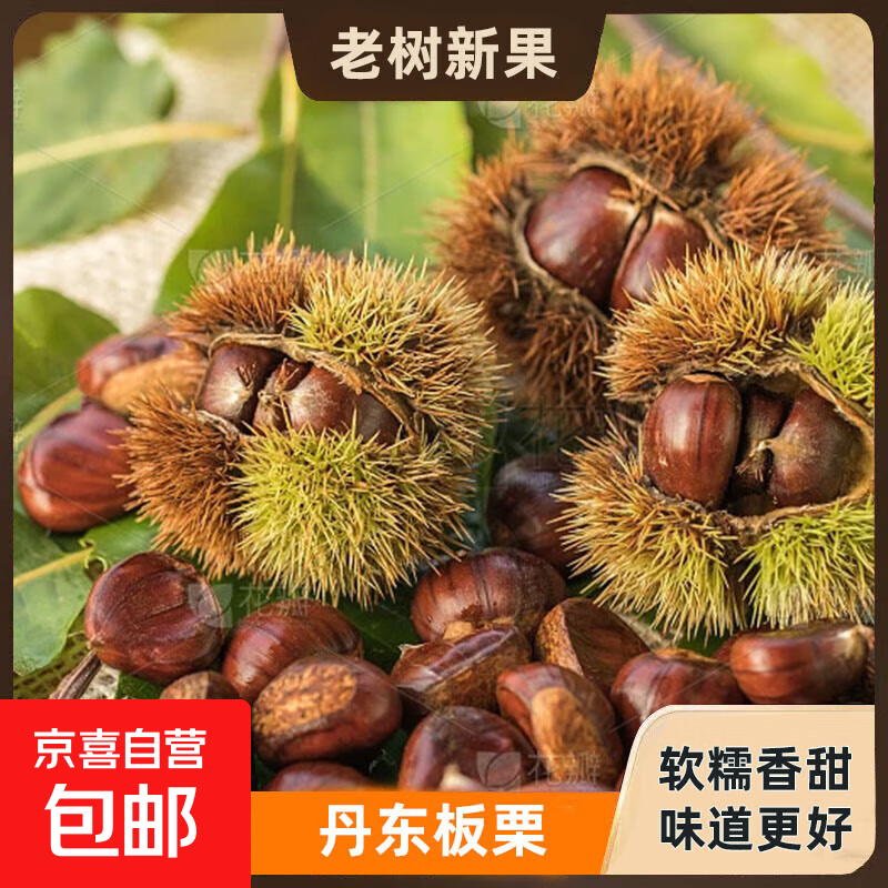 25年丹东新板栗现摘现发 粉糯香甜板栗板栗板栗赠送栗爪 丹东板栗送栗爪 0.5斤
