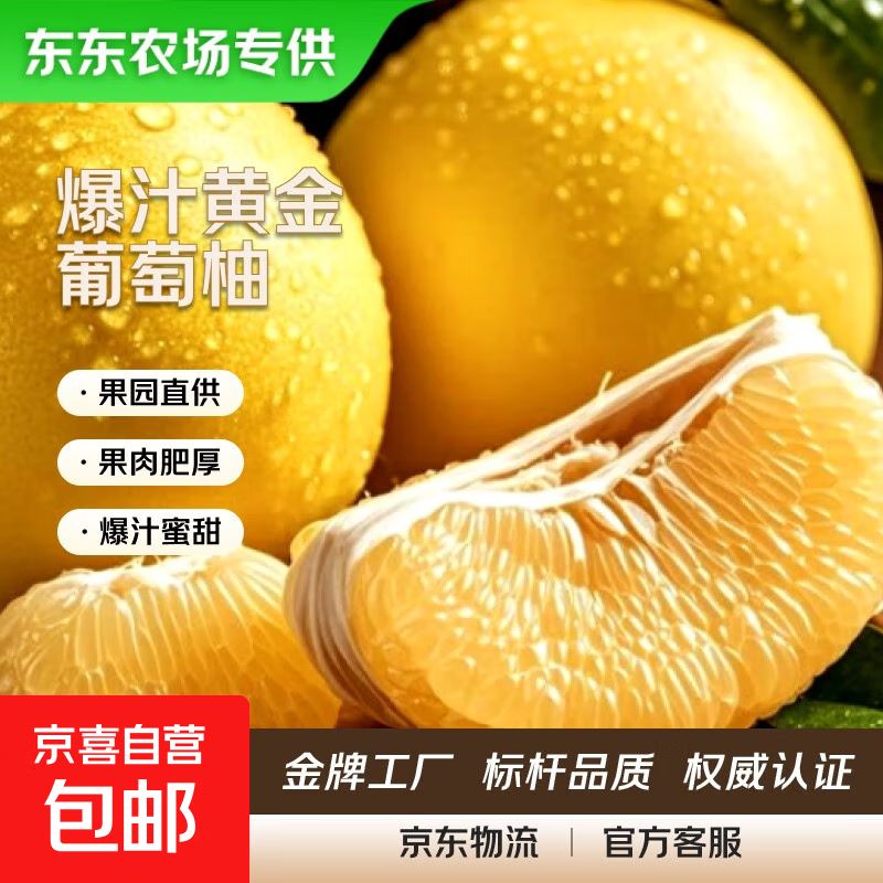 【东东农场专供】福建平和黄金葡萄柚新鲜水果时令应季黄肉蜜柚 【爆汁蜜甜】1粒装【单果250g起】试吃实惠装
