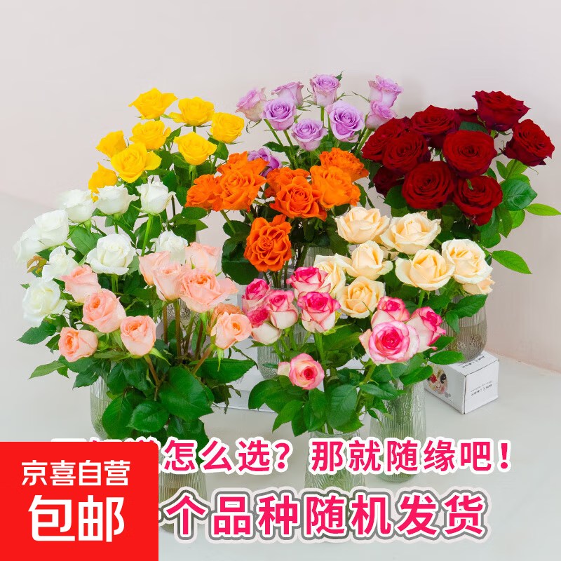 【玫瑰花】特价云南鲜花七夕节礼物鲜切花束水养插花混搭送人1 品牌基地无土玫瑰随机色8+2防损 长45-50CM