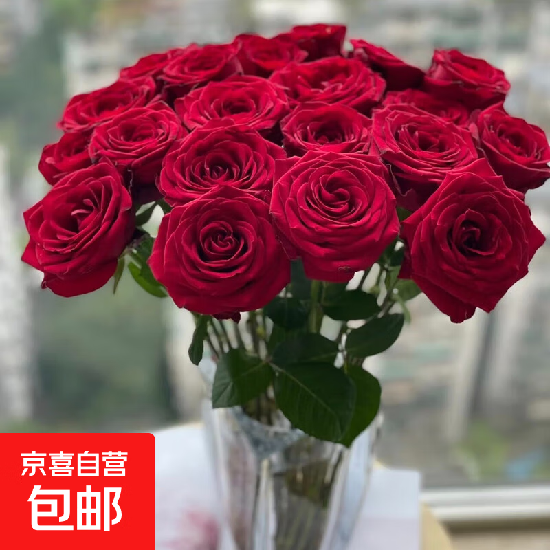 Ļ ŷõϦرʻԴͷֱ ŷ׵ͷõ10֦