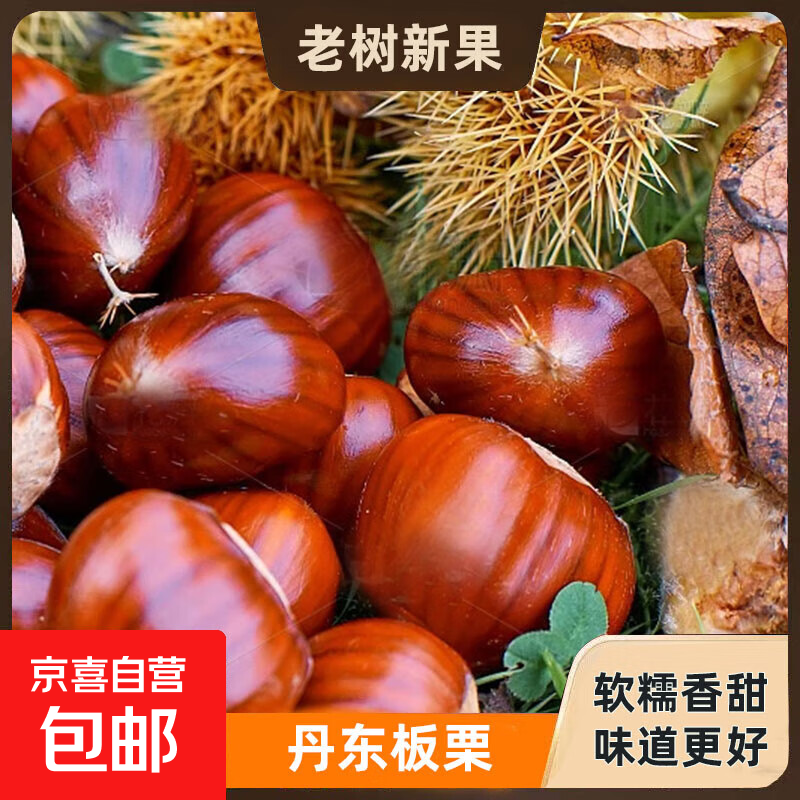 25年丹东新板栗现摘现发 粉糯香甜板栗板栗板栗赠送栗爪 丹东板栗送栗爪 2斤