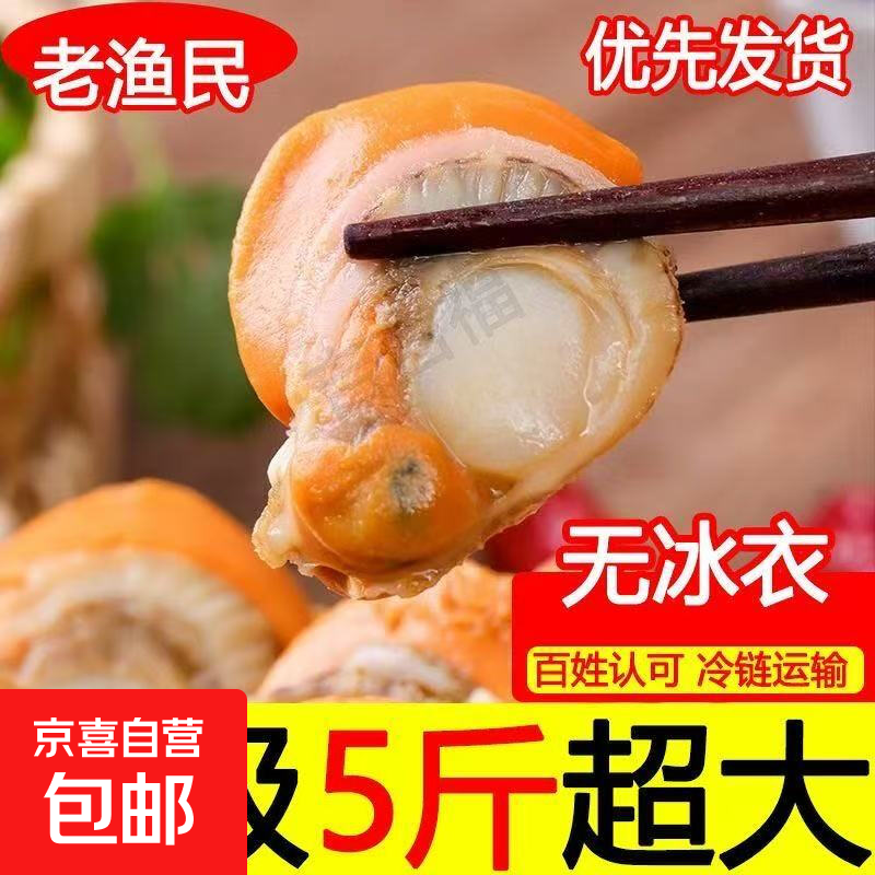 无冰现剥特大扇贝肉特大号海鲜海捕黄带冷冻野生整箱水产发现新鲜 大号带黄带膏-约61粒左右/斤-1斤装