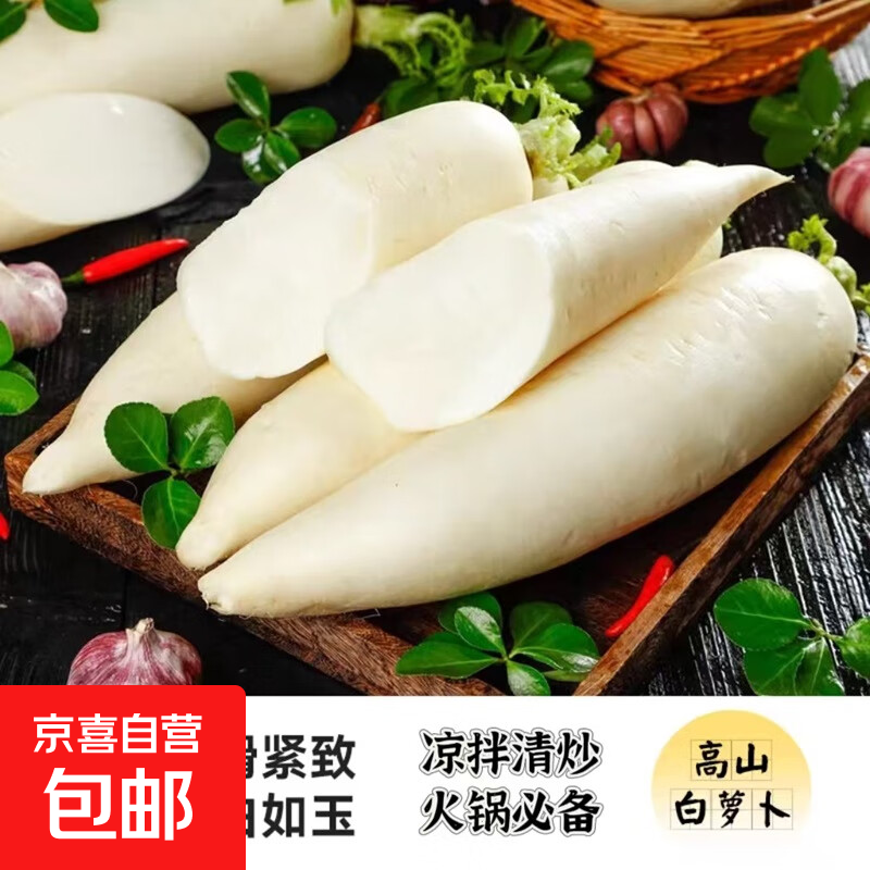 新鲜白萝卜脆甜爽口水果萝卜早餐凉拌清炒火锅必备泡菜腌制 新鲜白萝卜5斤精选 含箱