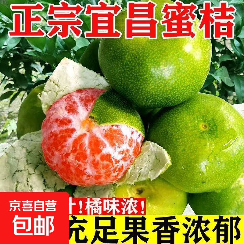 酸甜云南新鲜青橘孕妇青皮当季无籽橘子桔子薄皮水果多汁一整箱 带箱2斤50-60mm