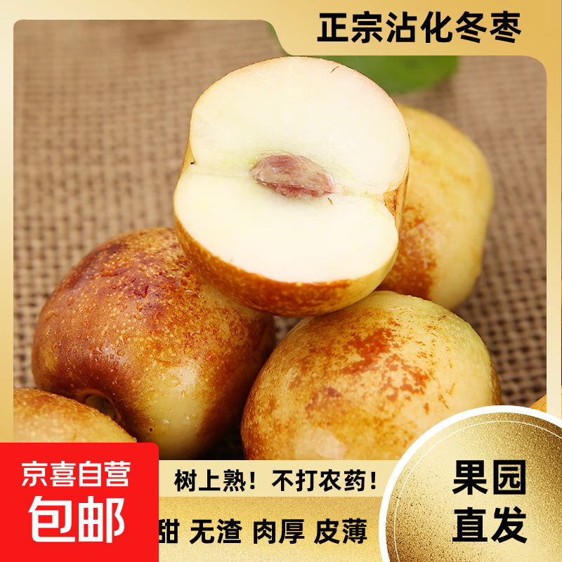 山东新鲜脆甜冬枣 果园现摘现发 健康营养 美味当季水果多汁孕妇 中果（10-15g）带箱5斤