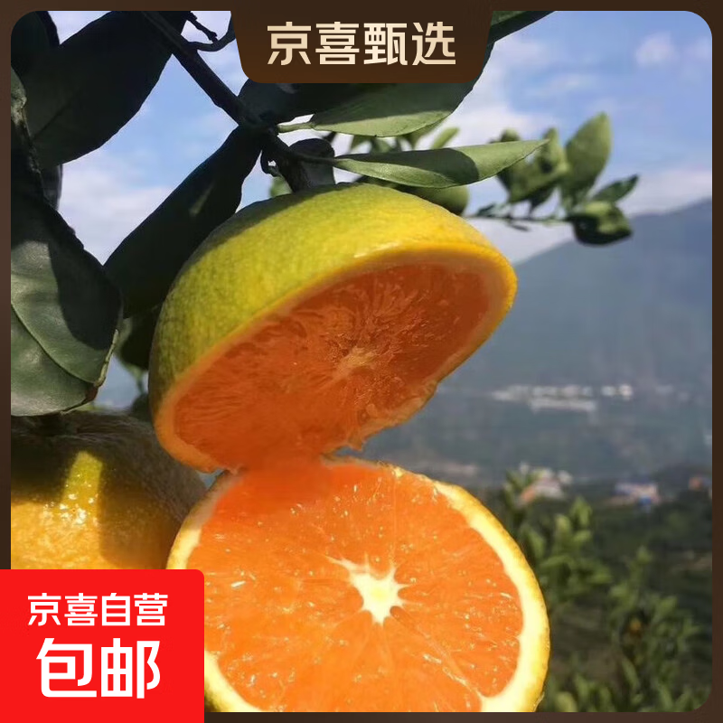 【老树脐橙】纽荷尔脐橙当季产地直发橙子新鲜采摘65-70mm 带箱2斤65-70mm