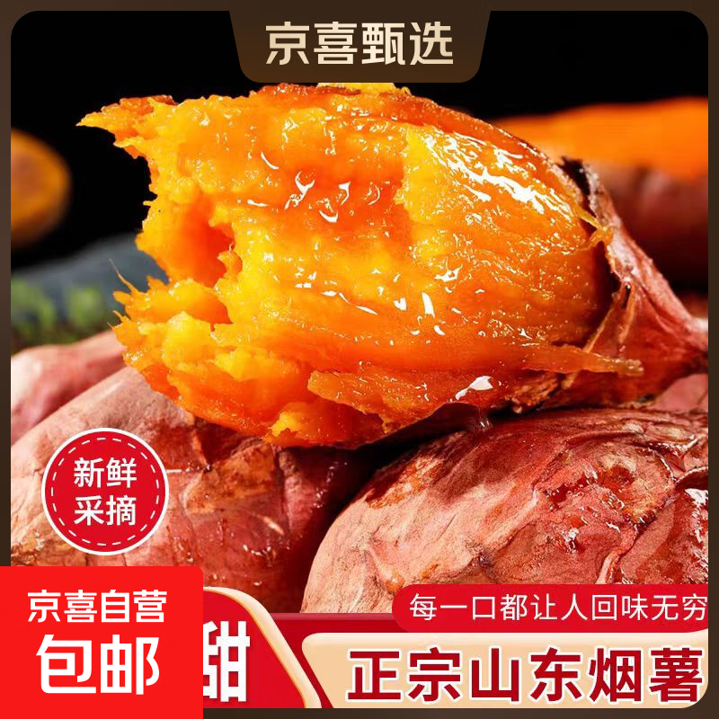 山东烟薯25号蜜薯糖心红薯红心流油地瓜新鲜农家沙地山芋烤番薯 1斤带箱 单果1两-3两