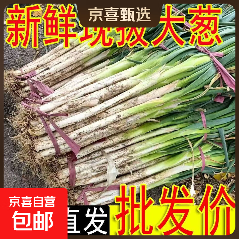  山东大葱（带老皮）带箱 1斤