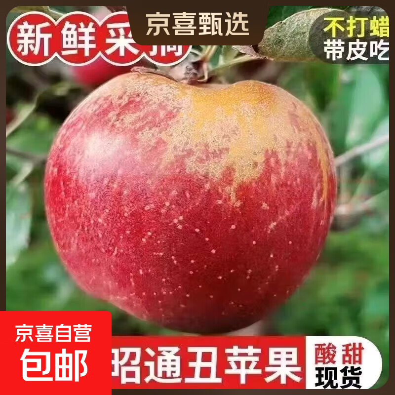 云南昭通丑苹果新鲜脆甜现摘 2斤带箱（中果）