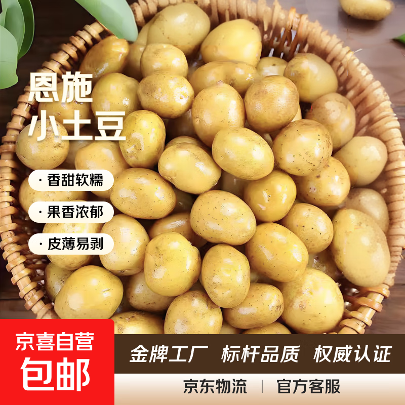 当季新货恩施黄心小土豆高山产地直发小土豆新鲜迷你洋芋马铃薯 恩施小土豆2斤 带箱 60g起